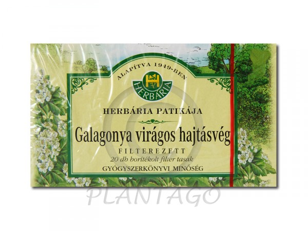 Galagonya tea filteres Herbária borítékolt 20x1g
